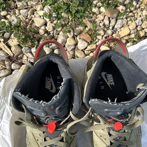 Cactus 🌵 Jack - Picture 6 of 10